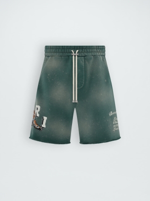 Pantalones Cortos Amiri Vintage Tiger Sweatshort Hombre Verde | 6891GMEIA